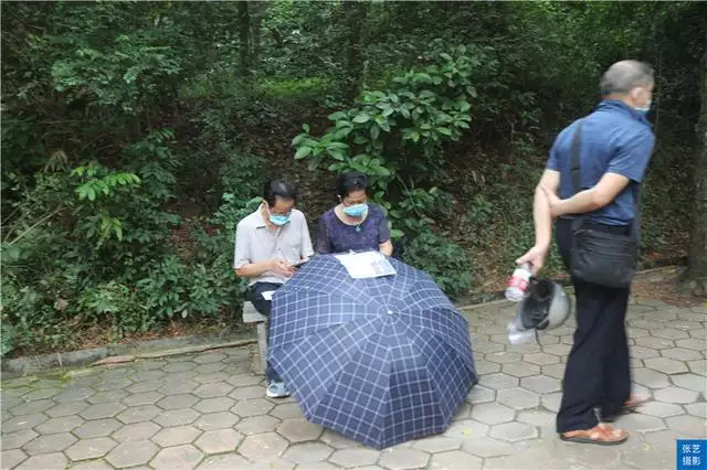 北京哪個公園有相親活動，北京菖蒲河公園相親