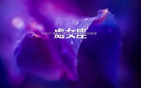 2、天蝎座的婚姻运势:天蝎座下半年运势