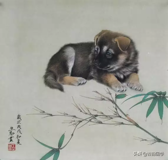 属龙的人佩戴什么首饰好一点，属龙的女人戴什么吊坠好呢