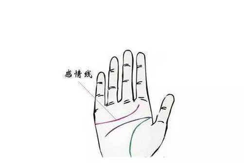 1、婚姻线三条:婚姻线三条，中间分叉