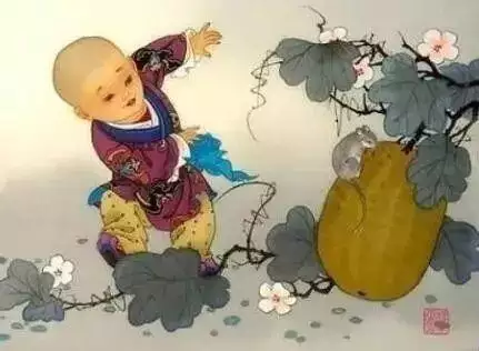 屬兔什麼屬相孩子