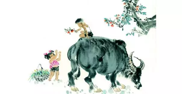 屬牛的和什麼屬相合財，屬牛男和屬牛女和財嗎