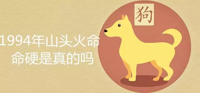 4年屬狗是啥命，1994屬狗人是什麼命"