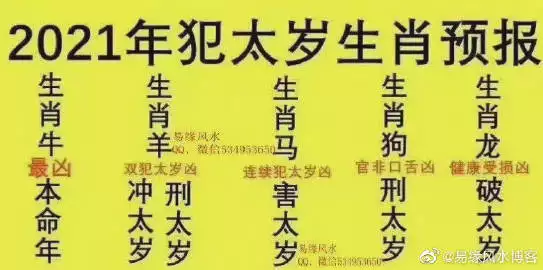 1、二零二零犯太岁的属相都那几个:犯太岁年生肖是什么