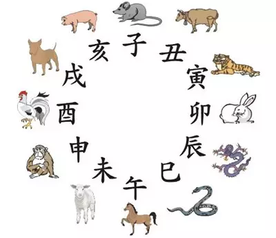4、十二生肖出生年曆表:十二生肖出生年份表