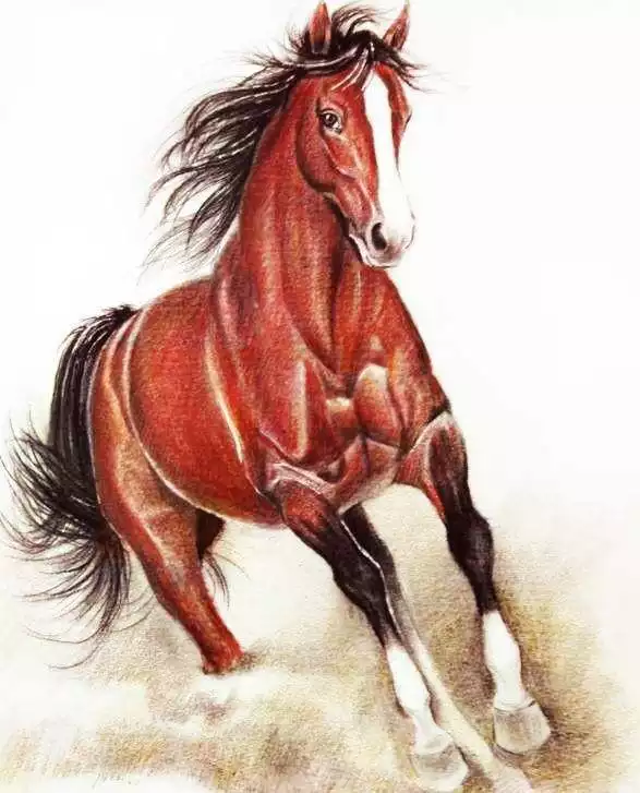 屬馬和屬羊的生肖在一起怎麼樣,1990女馬和1991男羊相配嗎