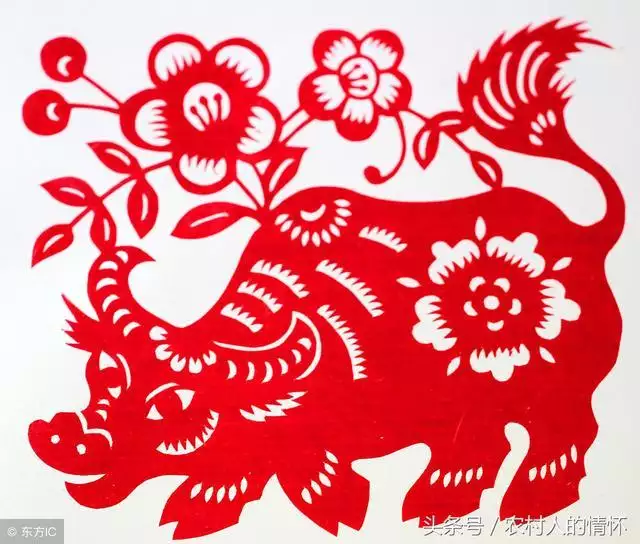 属虎农历几月出生命更好，2022年生虎备孕表