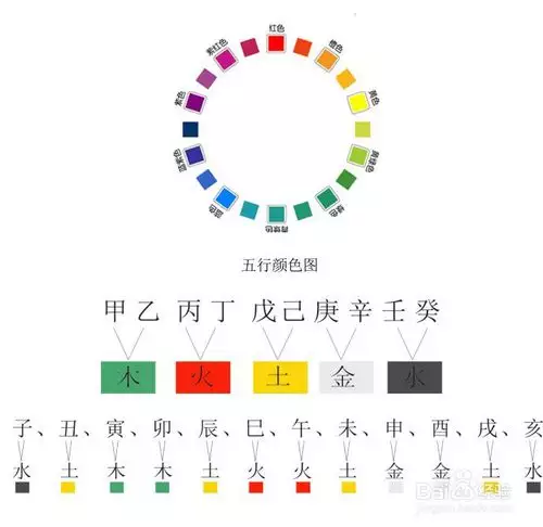代字五行属什么