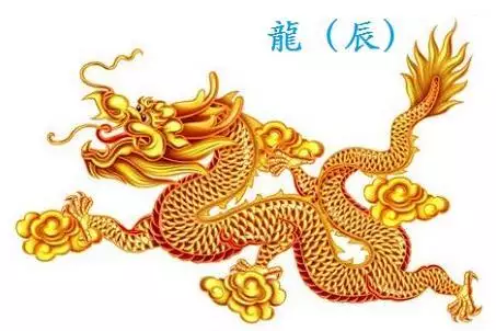 1、婚姻屬相配對大全很准龍女豬男:虎男龍女生肖配對查詢