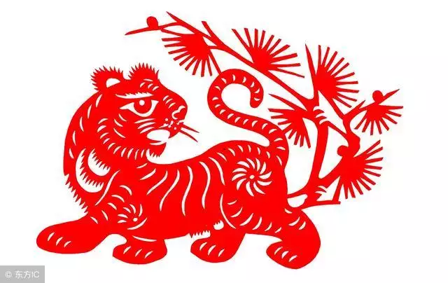 974年属虎的十年大运，1974年虎未来10年运"
