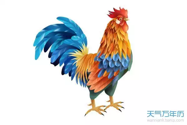1、年属鸡年运势:年属鸡年运势及运程
