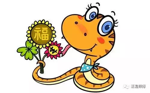 022屬蛇運勢生肖運勢，2022年屬蛇的運勢和財運"