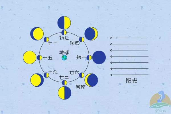 7、生日是按阴历还是阳历:现在生日按阴历还是阳历？