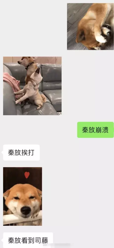 4、戀愛契合度測試姓名:張雪和方敏測試姓名契合度