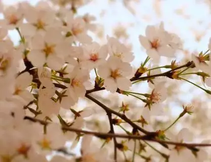 2年属狗什么时候翻身，属狗2022