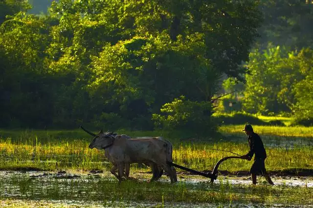 金牛壁上土命取名，2022 壁上土命缺什麼