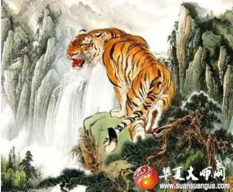 属虎的哪年生的，1950年属虎有几个难