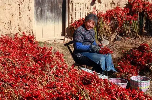 屬羊的人是不是克人，羊跟什麼屬相衝
