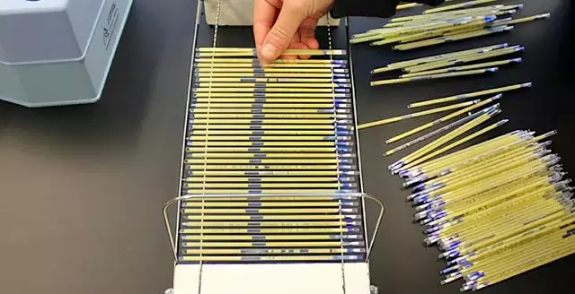 為什麼說馬遇狗更富有，78年馬和82年狗合財不