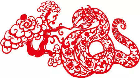 属蛇人55岁有一劫难：求解答我今年55岁以后的命运如何