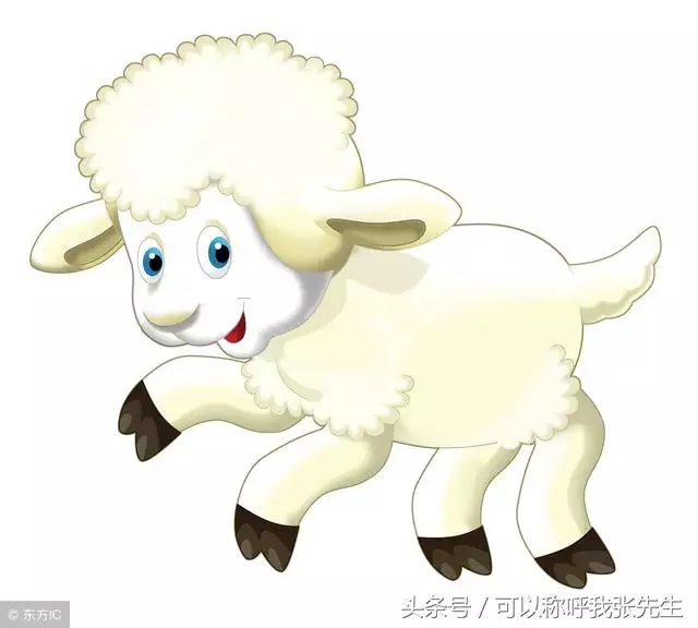 屬羊的男人和什麼屬相的最合適，屬羊和什麼屬相合