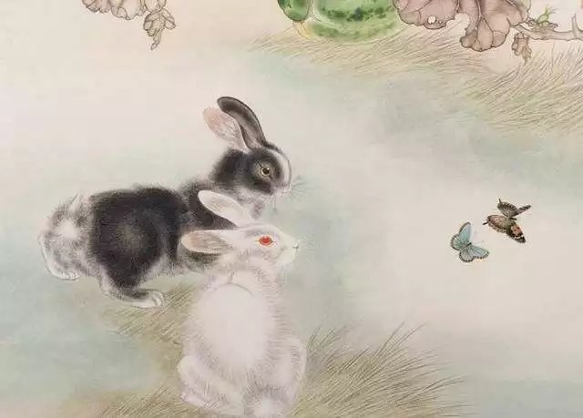 屬兔與什麼相剋，屬兔忌配什麼生肖
