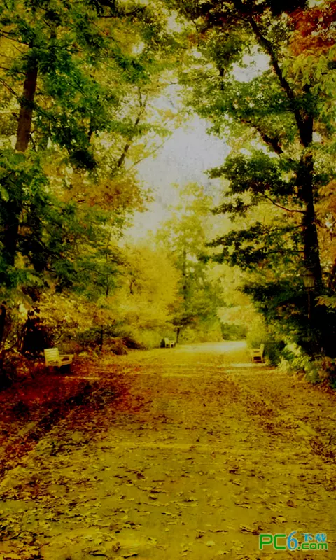 5、一捆香烧香形状图解(第1页):一捆香烧香形状图解