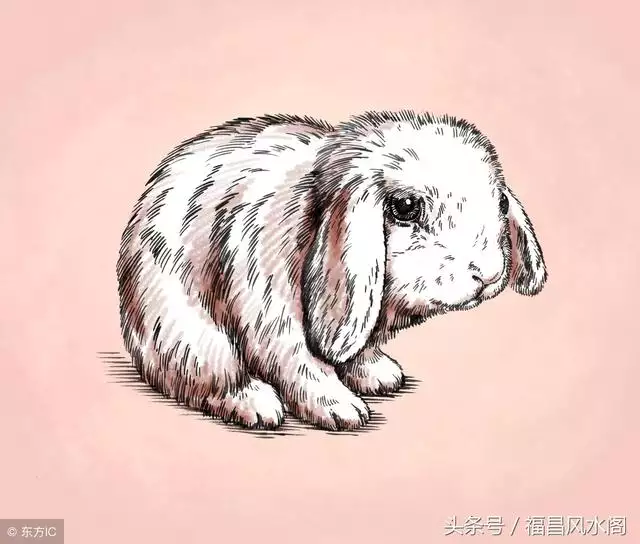987年屬兔一生的財運，屬兔今年犯太歲嗎2022"