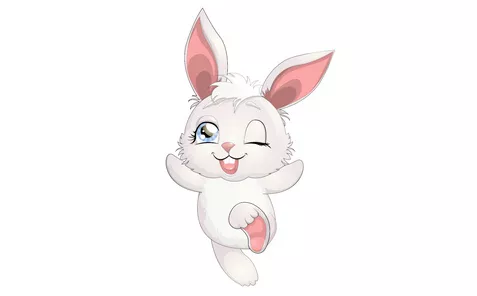 2、属兔9月运势:属兔人年阳历9月16幸运号码