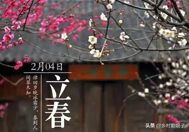 2、没有立春的年份怎样算属相属兔:过了春节没有过立春属相怎么算