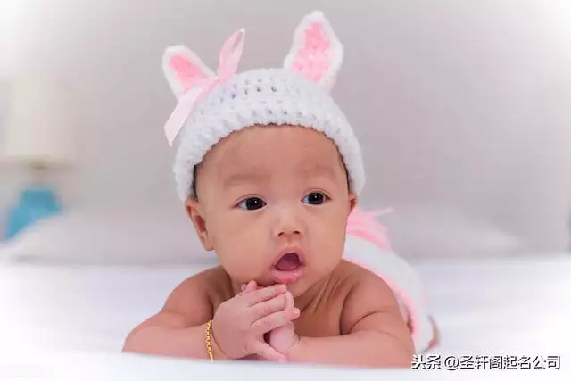 屬羊女孩取名適用的字，豬年缺金男孩起名