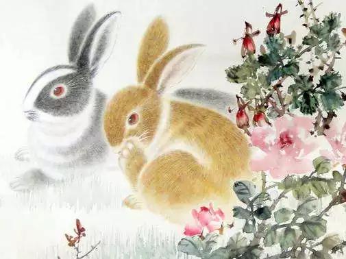 屬兔什麼時辰出生更好，屬兔的那個時辰出生更好