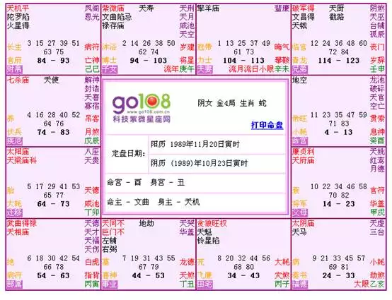 3、个人星盘详解(免费版):个人命盘详解免费版