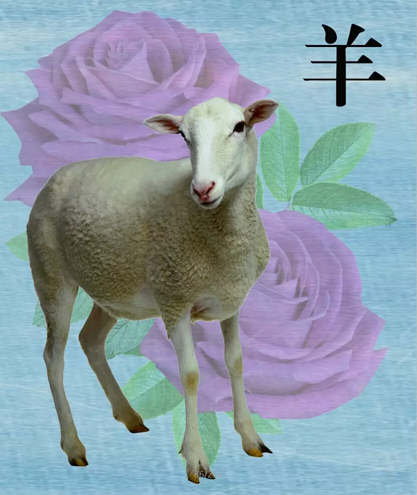 3、属羊农历九月运势:我属羊农历九月初二生日我的运气今年咋样
