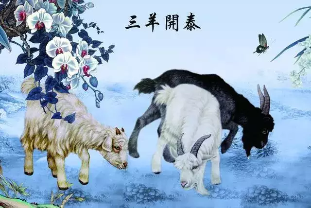 003年屬羊男的一生運勢，2003屬羊2022年高考運勢"