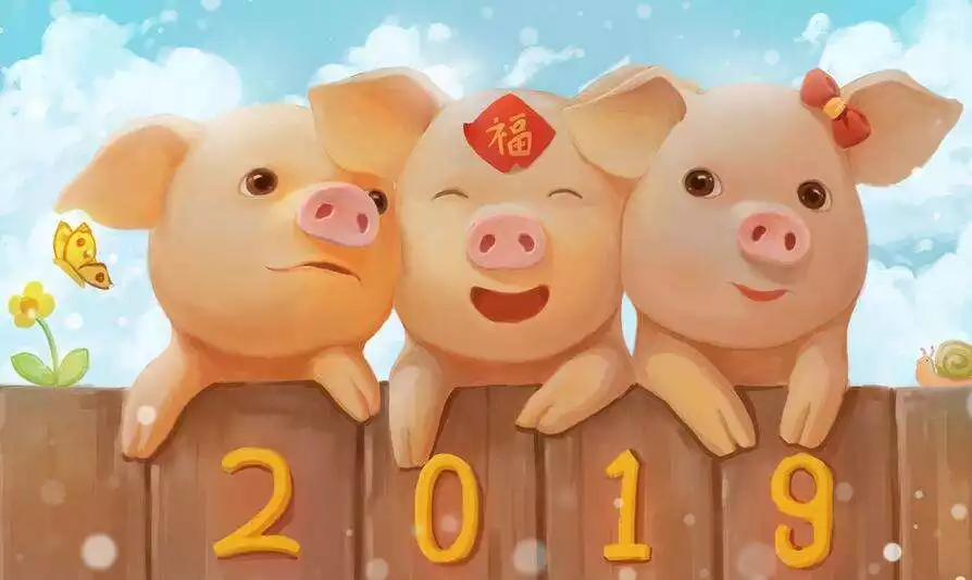 出生1983年豬年本命年運勢，豬年本命年要注意什麼