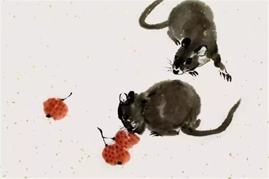 蛇爸爸和鼠兒子合不合，蛇和老鼠屬相合不合家庭