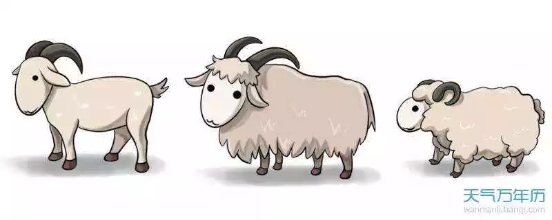 1年屬羊女與91年屬羊男,1991年女羊與1991男羊"