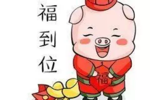 3、95年屬豬的27歲大災大難:95年屬豬27歲命運