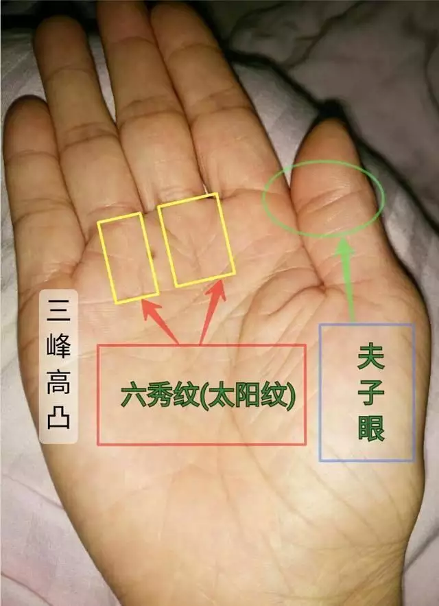 免费算八字看一生运程：八字算命一生命运