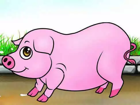 1、属猪生哪个属相的宝宝:属猪的人生什么属相的宝贝好？