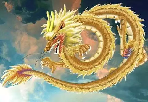 屬龍人這一生的更佳配，屬龍2022貴人