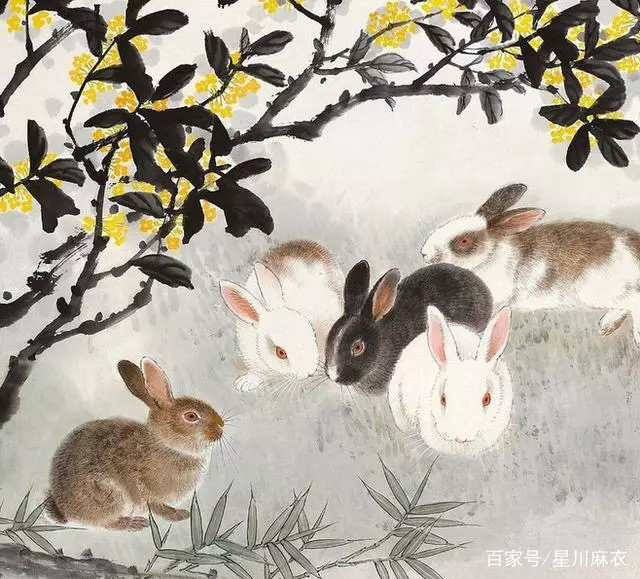 999年屬兔女，1999年屬兔人的命運"