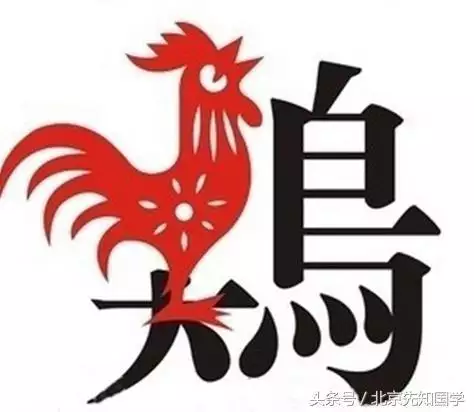 1年鸡人40岁后命运，1969鸡婚姻命运"