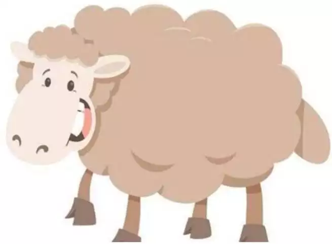 0后屬羊的是哪一年,屬羊的今年多大2022