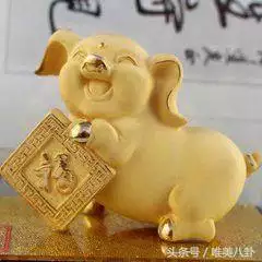 屬豬的今年愛情怎麼樣，屬豬的今年運勢