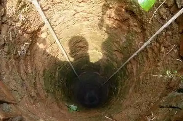 今天的財運在哪個方向，69年屬雞的今天的運氣