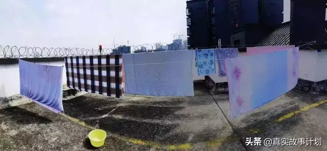 為什麼說兩隻羊命苦，為什麼十羊九不全我屬羊