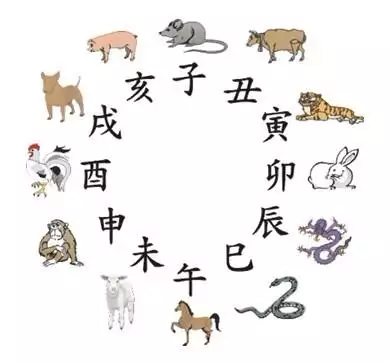 4、属相不合的情侣可以在一起吗:属相不和的两个人结婚会幸福吗