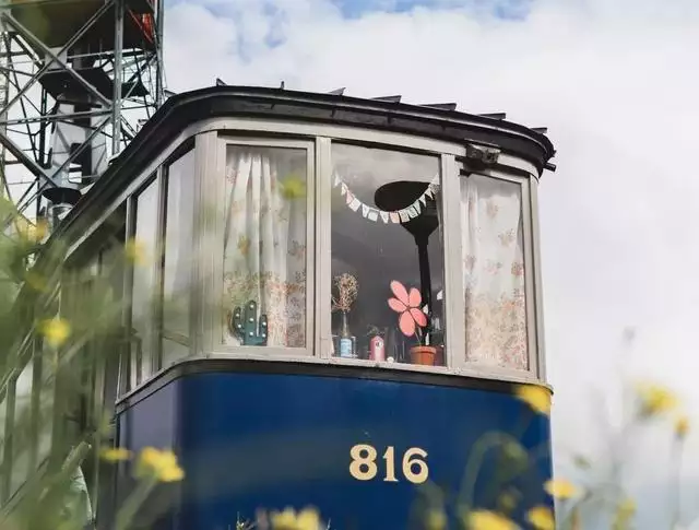 屬羊30歲運勢怎麼樣怎麼轉運，周易八字免費測算